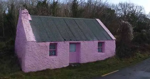 Charming Irish cottage goes on the market for €65,000