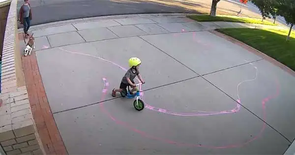 young cyclist is delighted by neighbour's kindness