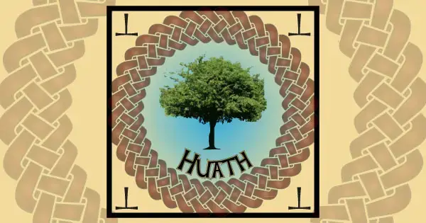  Hawthorn tree I Keltisk mytologi