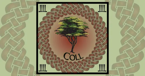 Hazel tree in Celtic mythology