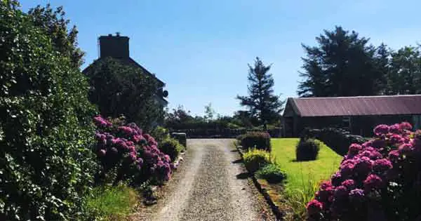 Donegal farmhouse path