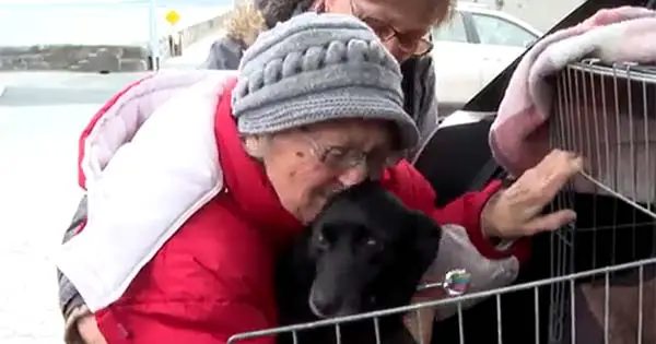 Ukrainian grandmother reunited with her beloved dog Tasha