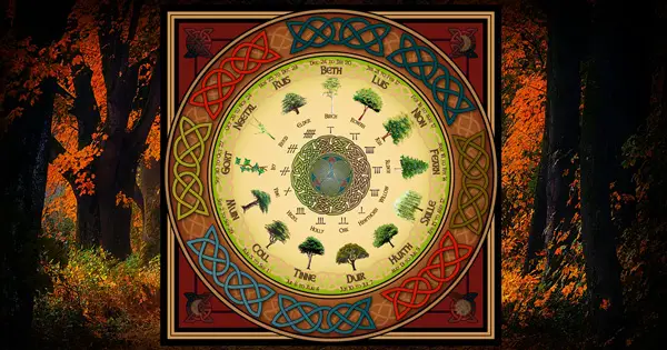 The Celtic Tree Calendar – 13 months following the lunar cycle
