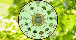 The Celtic Tree Calendar based on the ancient ogham alphabet