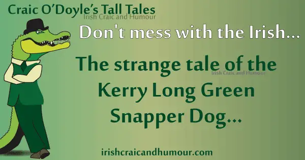Ireland's Tall Tales Kerry Long Green Snapper Dog