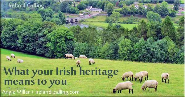 Irish heritage. Kilkenny. Image copyright Ireland Calling