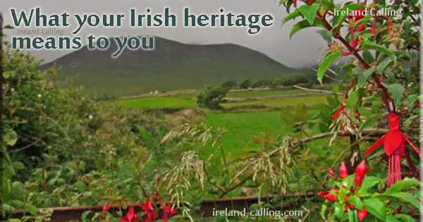 Irish heritage. Slea Head coast. Image copyright Ireland Calling