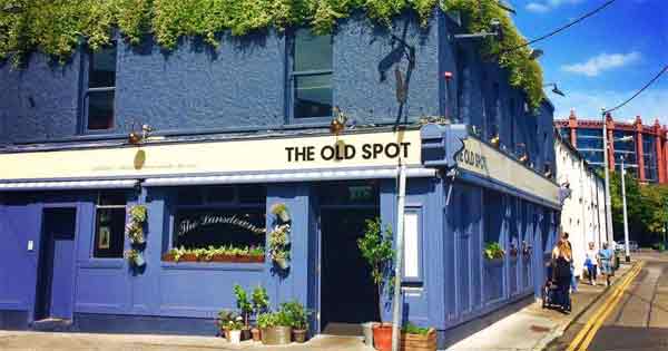 The Old Spot in Dublin