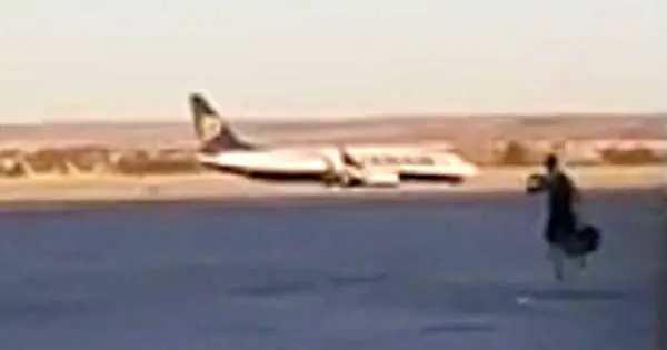 Passenger chases plane across runway